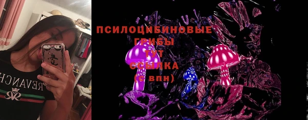 хмурый Алзамай