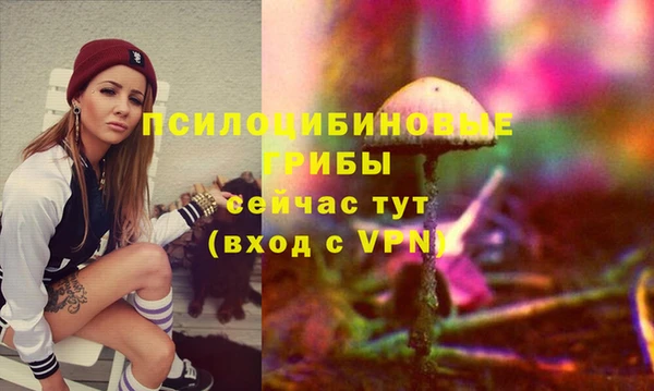 ГАЛЛЮЦИНОГЕННЫЕ ГРИБЫ Абинск