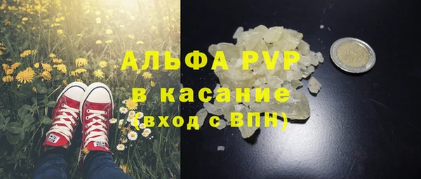 стаф Лабытнанги