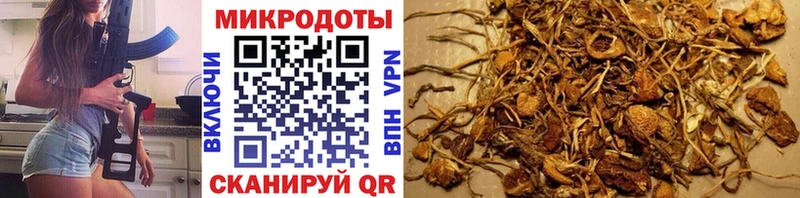 где найти   мориарти формула  Псилоцибиновые грибы мухоморы  Чулым 